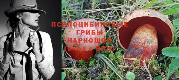стаф Алексеевка