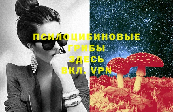 кристаллы Осинники