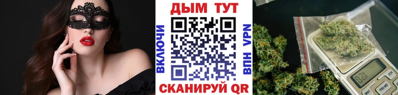Конопля Bruce Banner  купить  сайты  Терек 